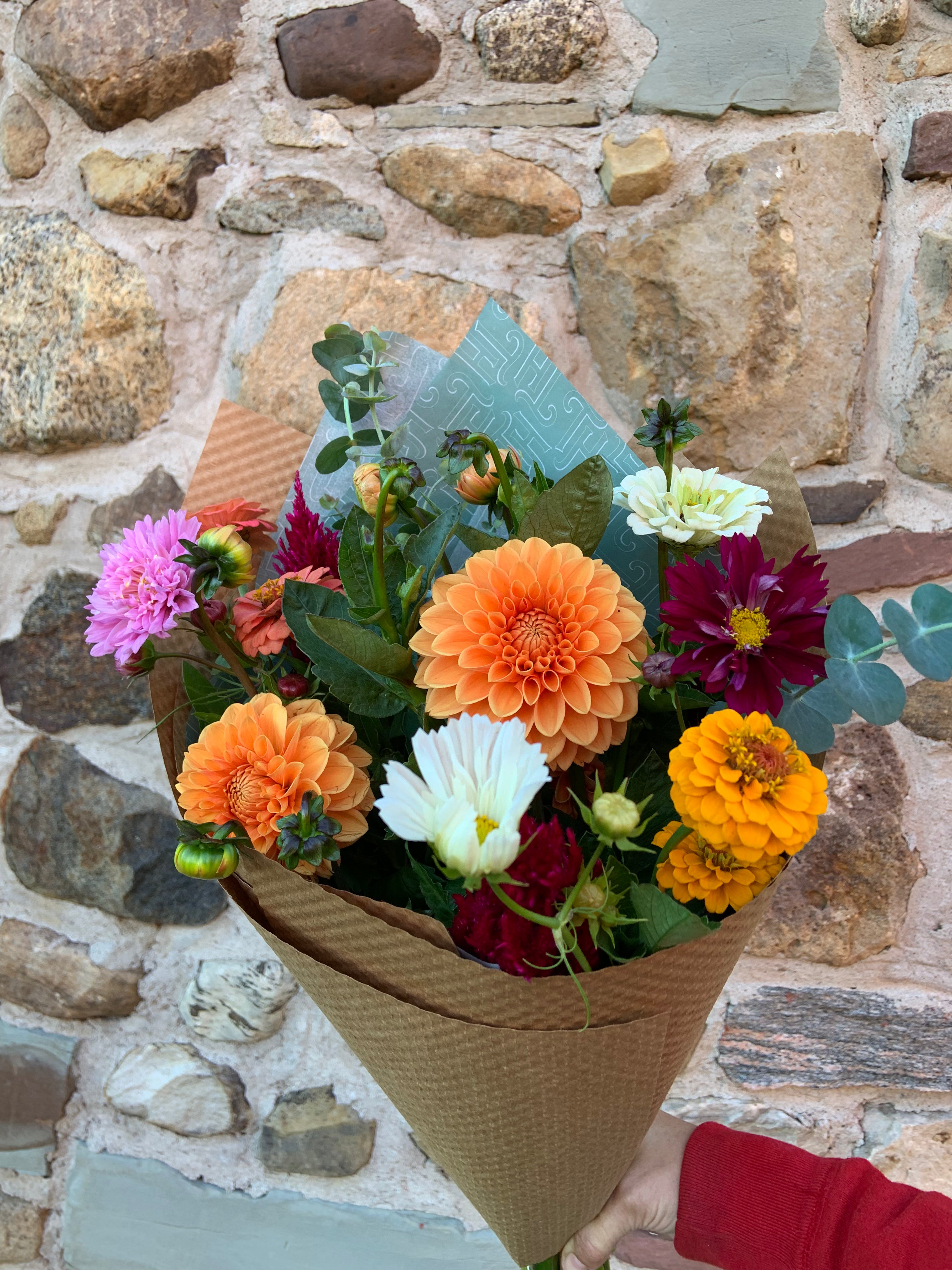 2026 Dahlia Share – Toad Hill Blooms