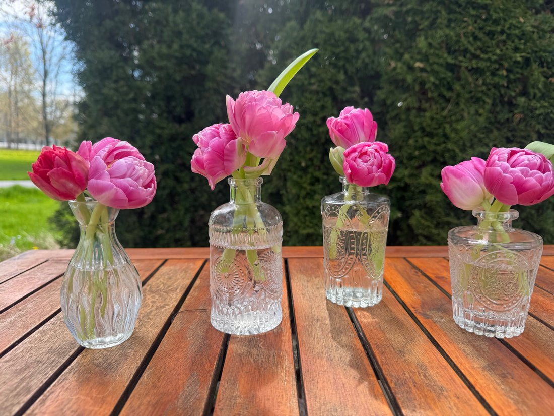 Tulips arranged in bud vases