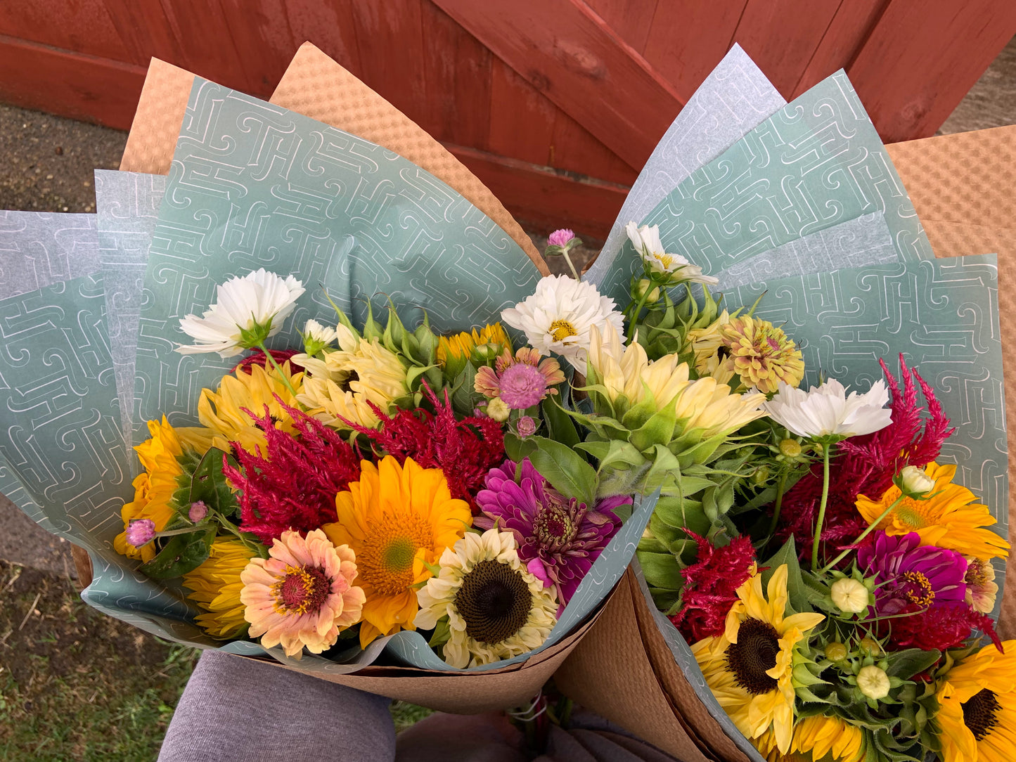 2026 Sunny Summer Share