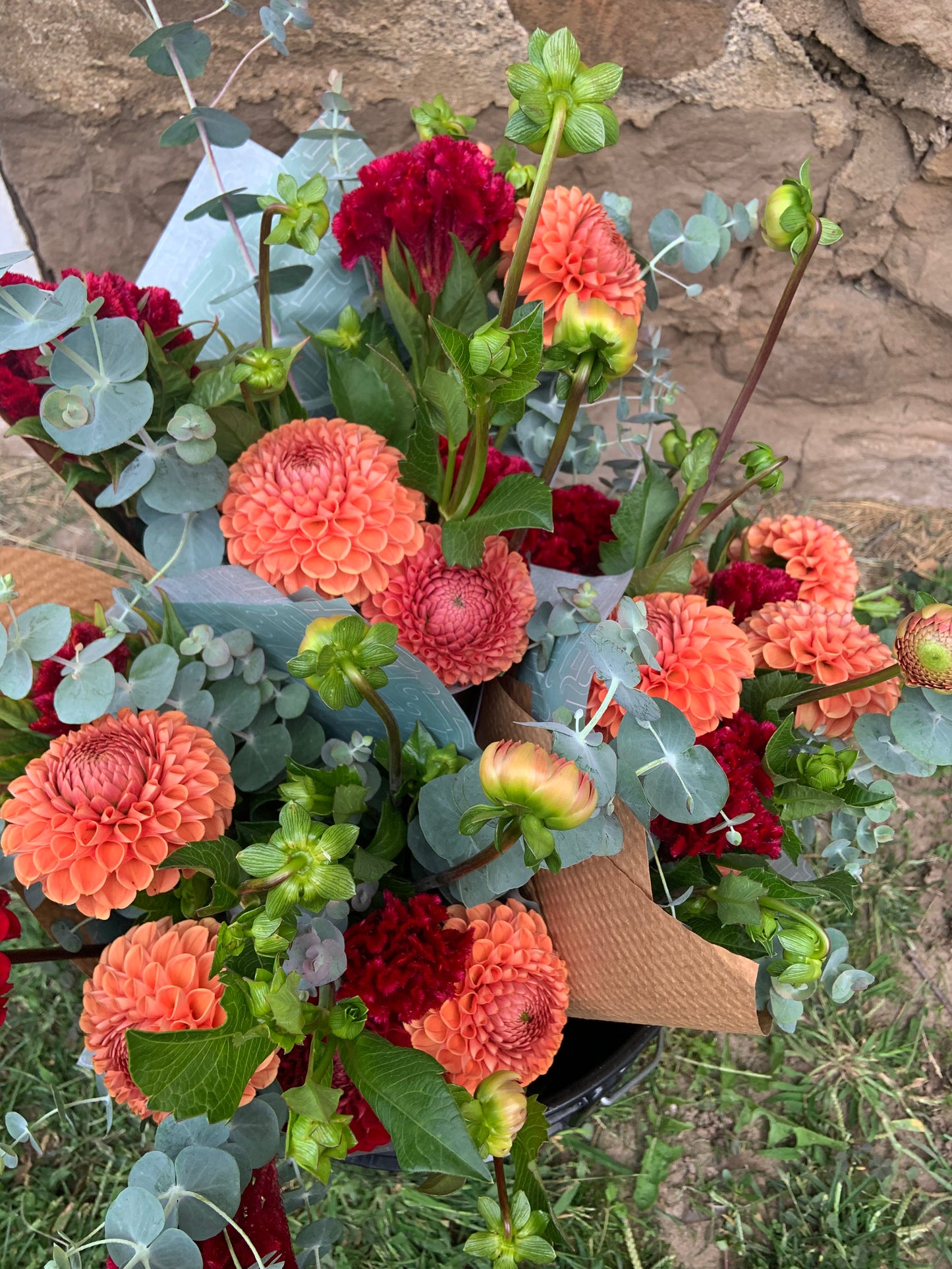 2026 Full Season Share