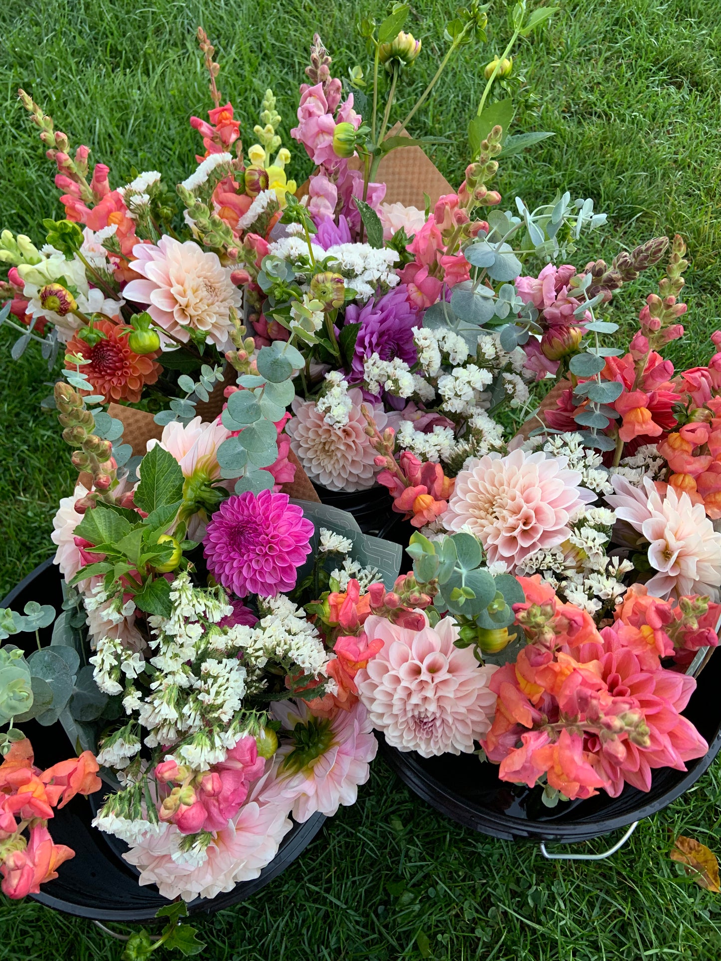 2026 Full Season Share