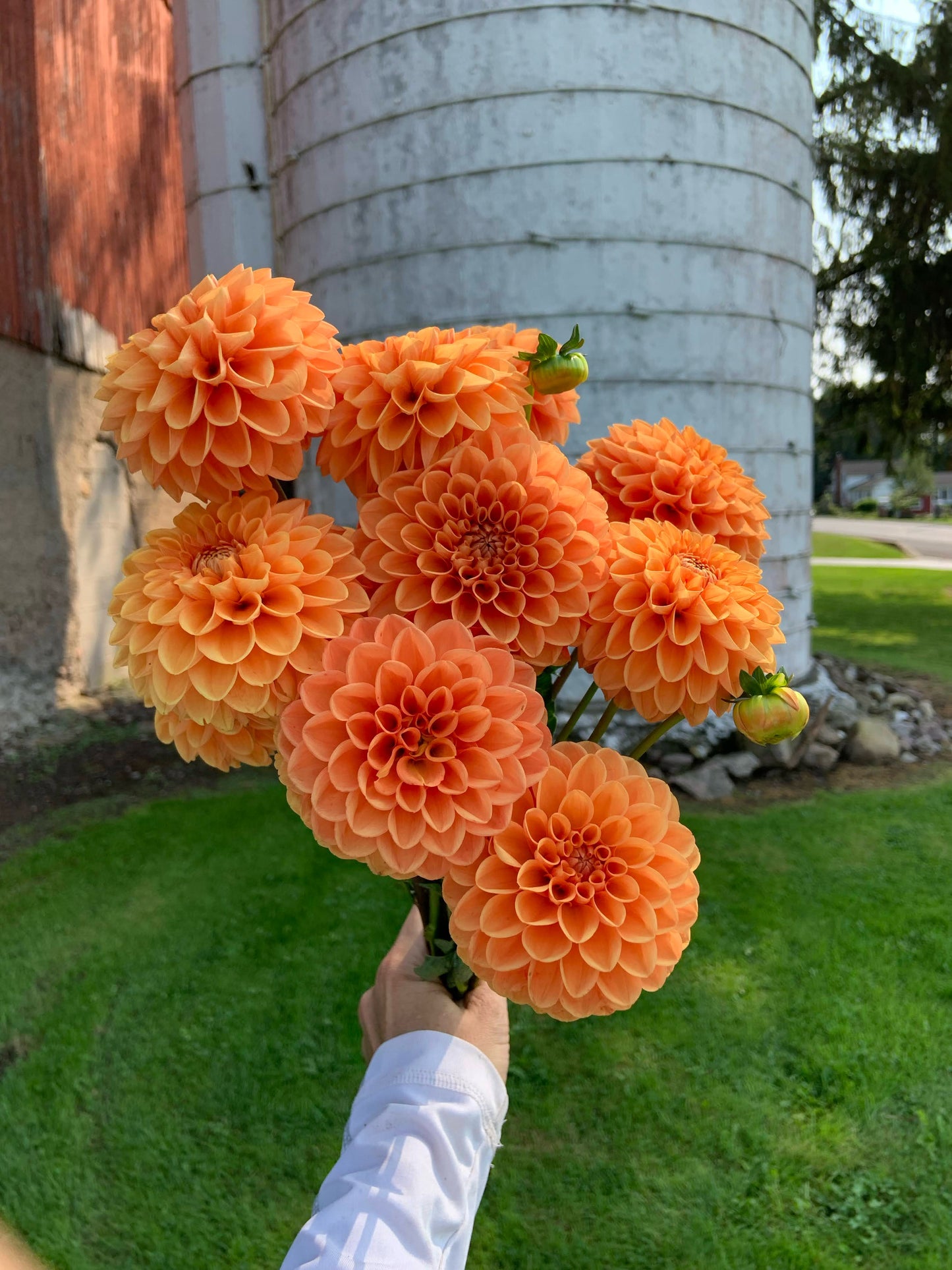 Bouquet Bar and Farm Tours