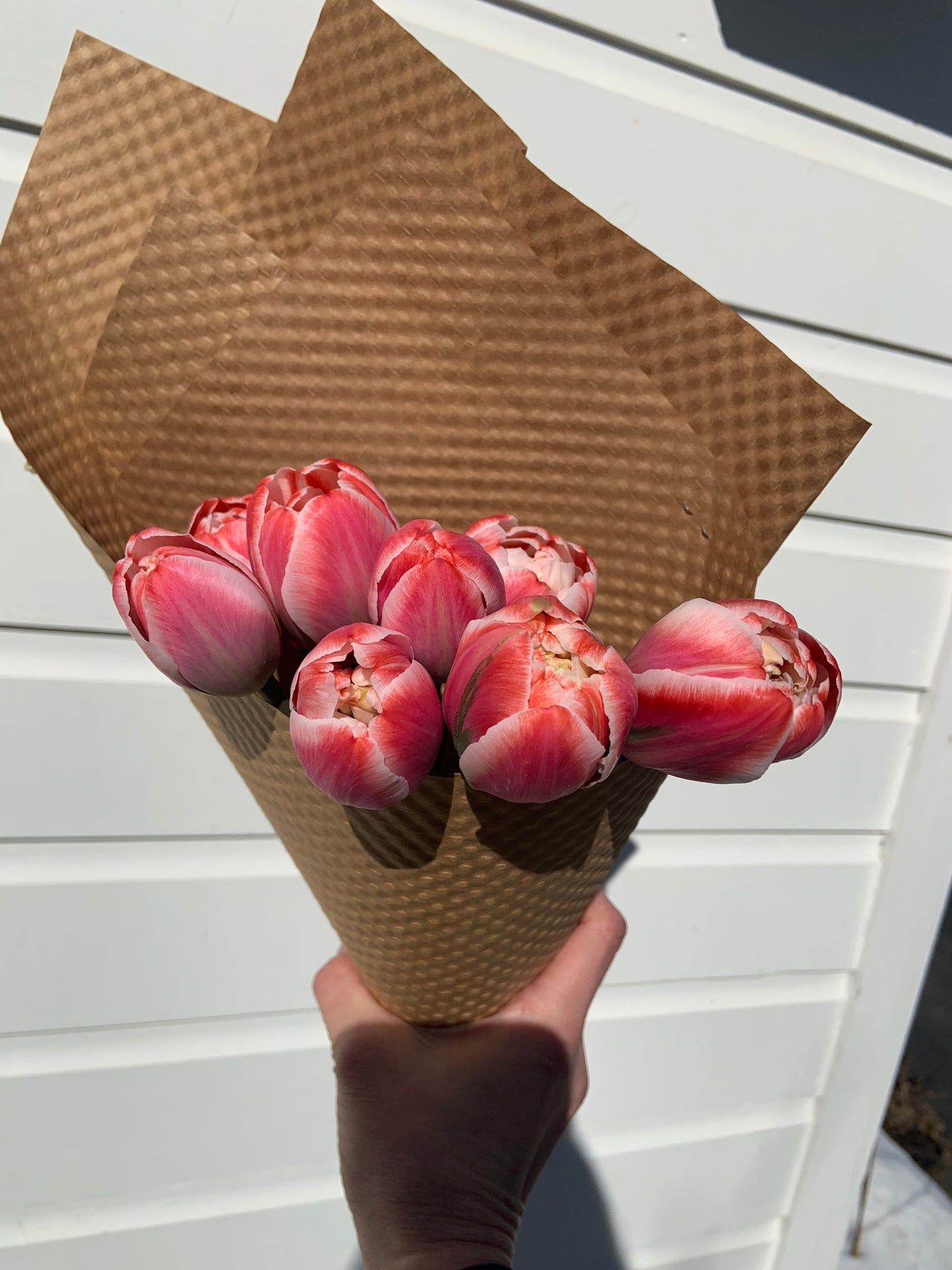 Tulips - On Farm Pick Up