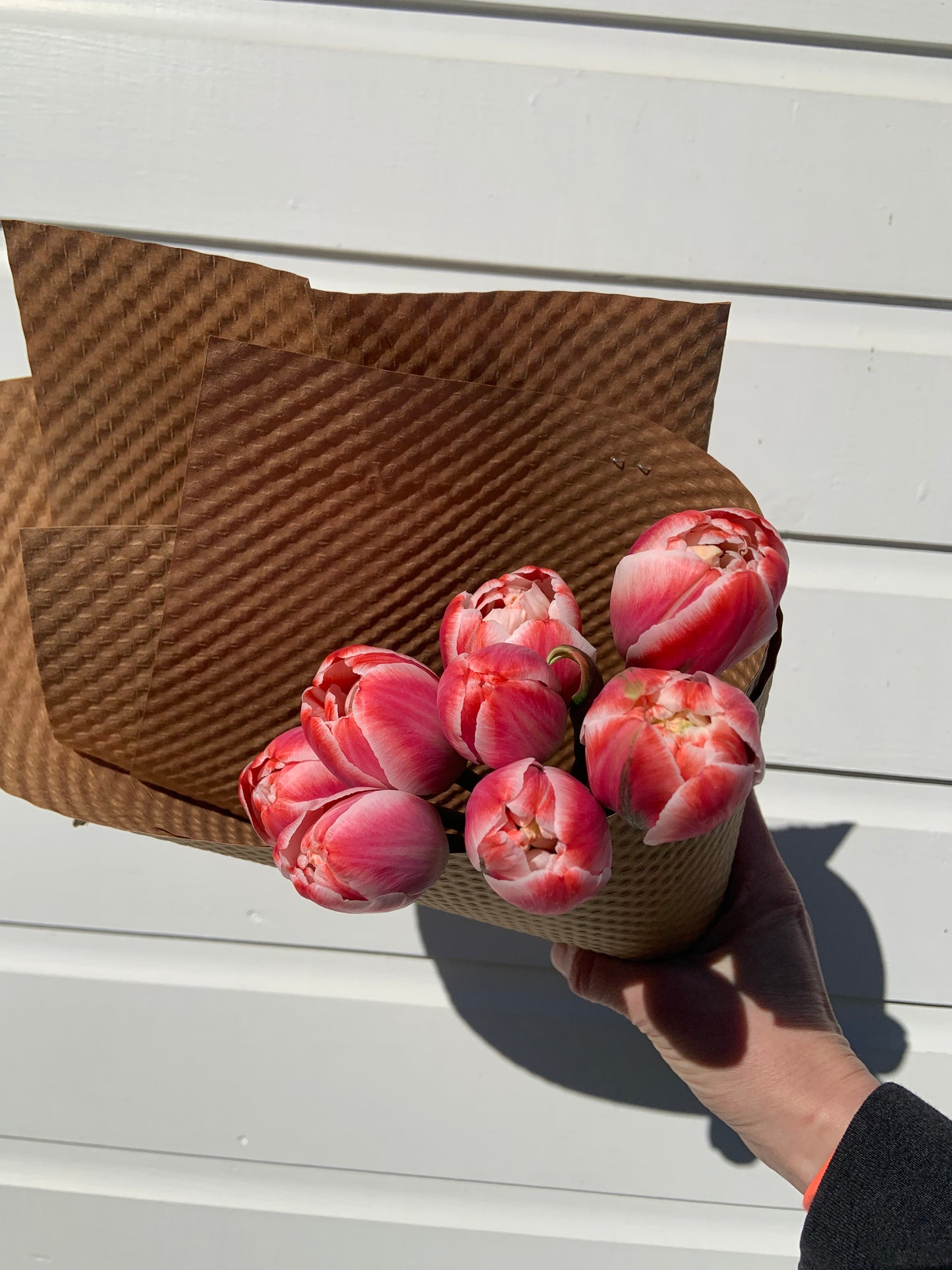 Tulips - On Farm Pick Up