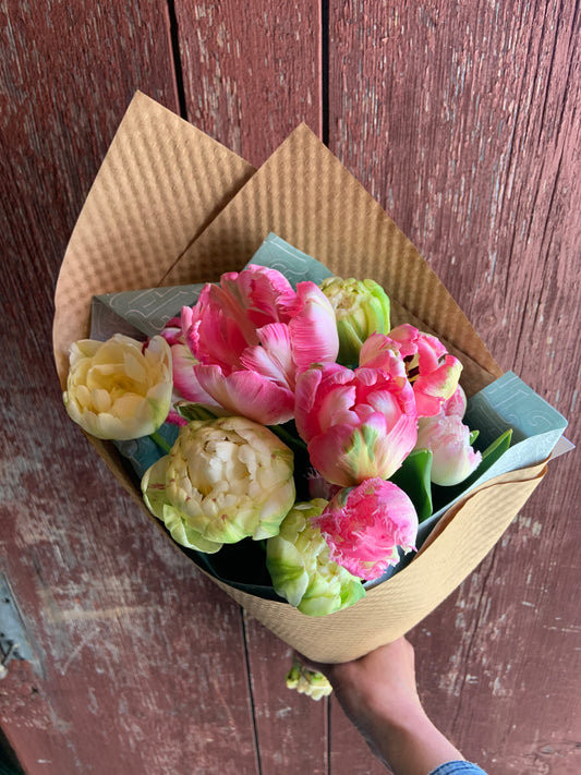 2026 Full Season Share