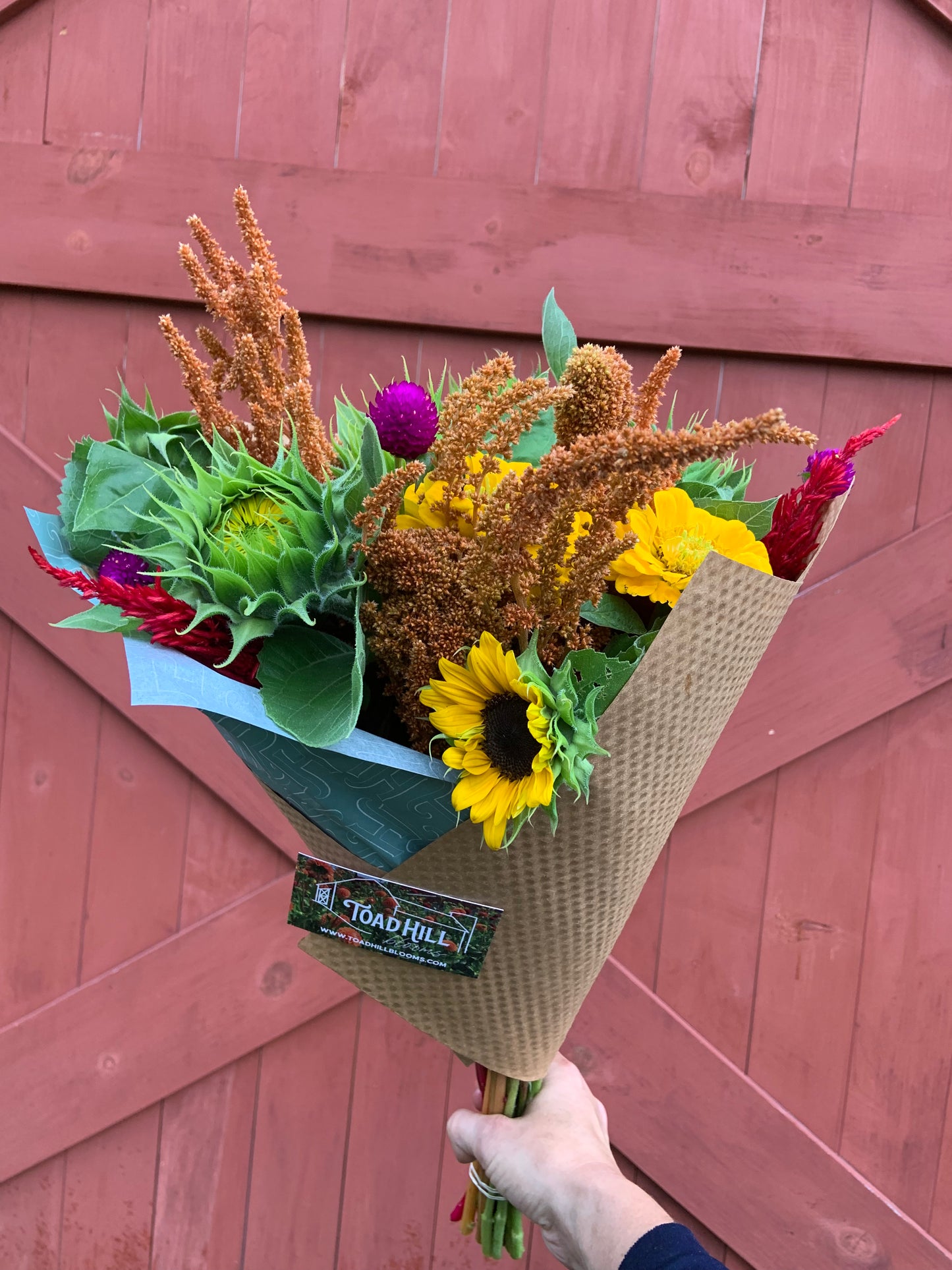 2026 Sunny Summer Share