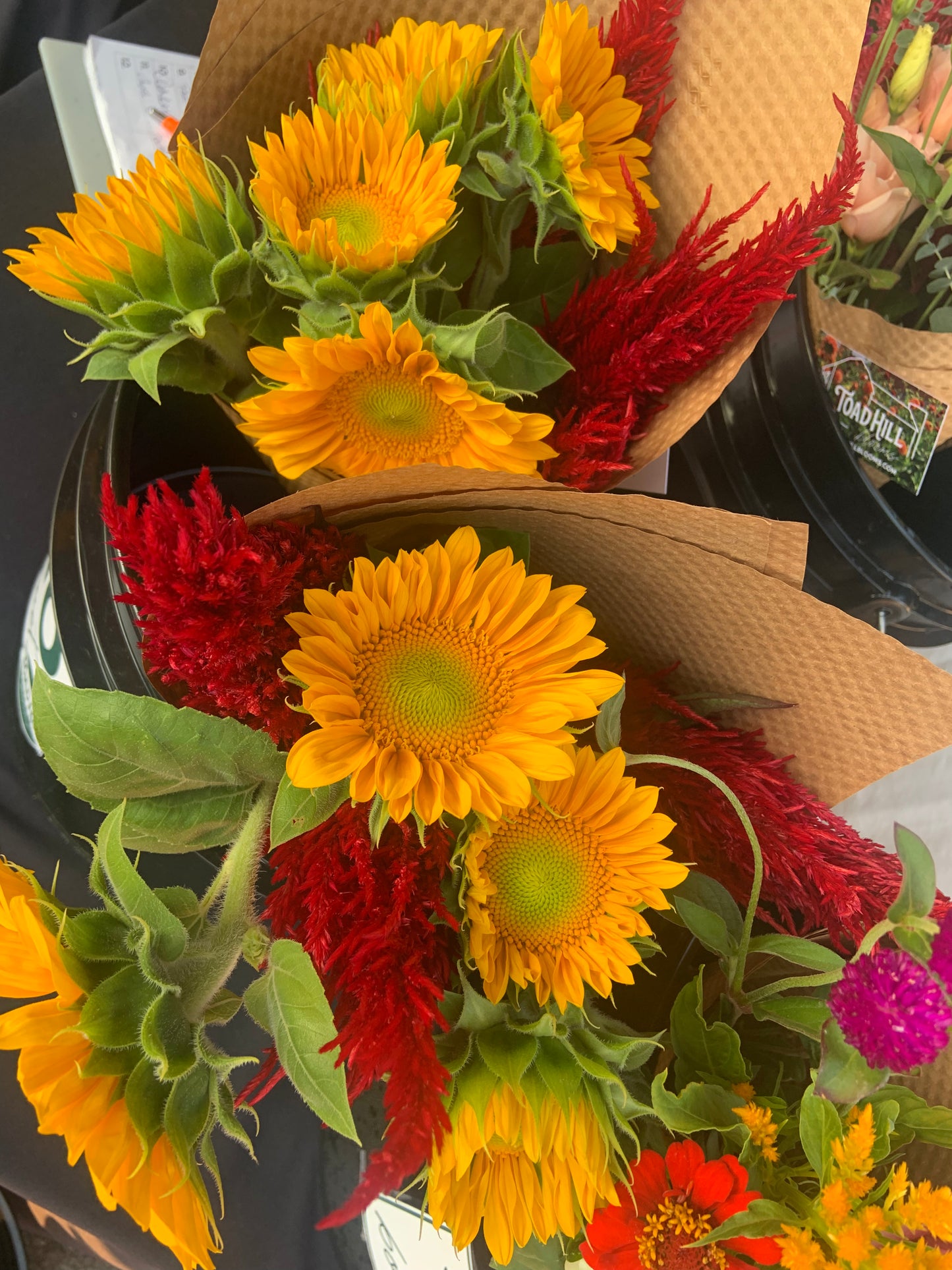 2026 Sunny Summer Share